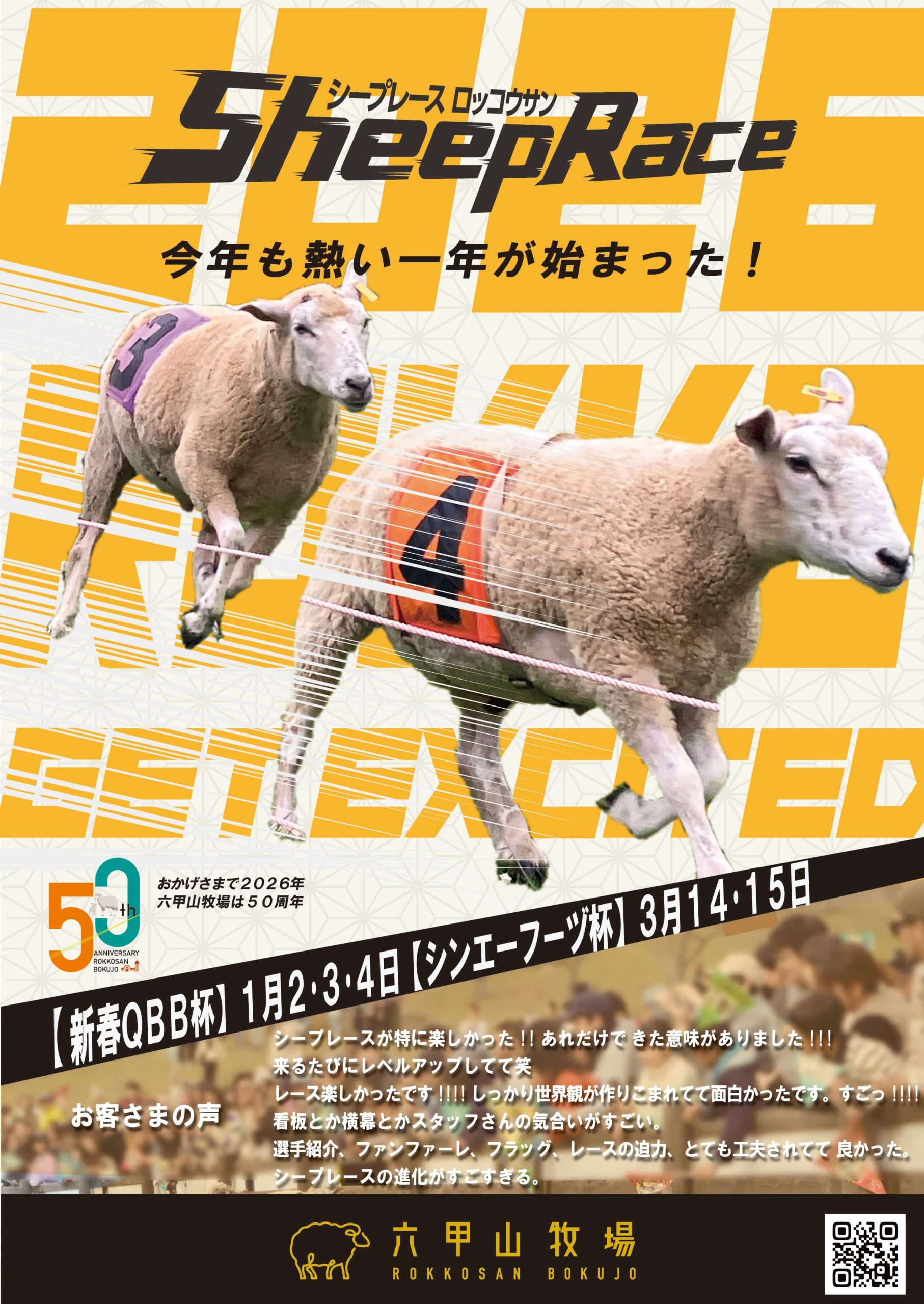 シープレース 全６頭によるヒツジたちによる真剣勝負。1着2着を当てて景品をゲットしよう！