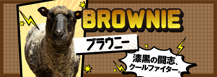 ブラウニー