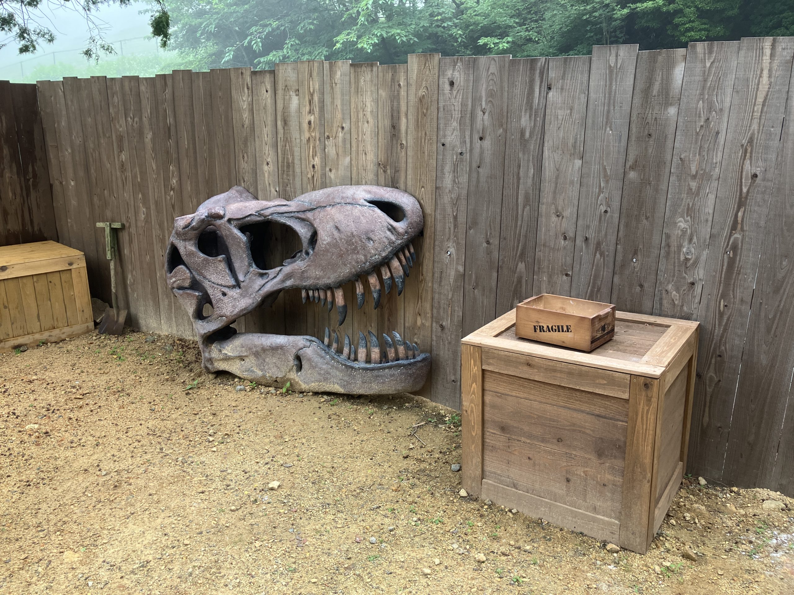 ダイナソーフォッシルパーク　5/17（土）OPEN！化石堀り体験ができる『ダイナソーフォッシルパーク』