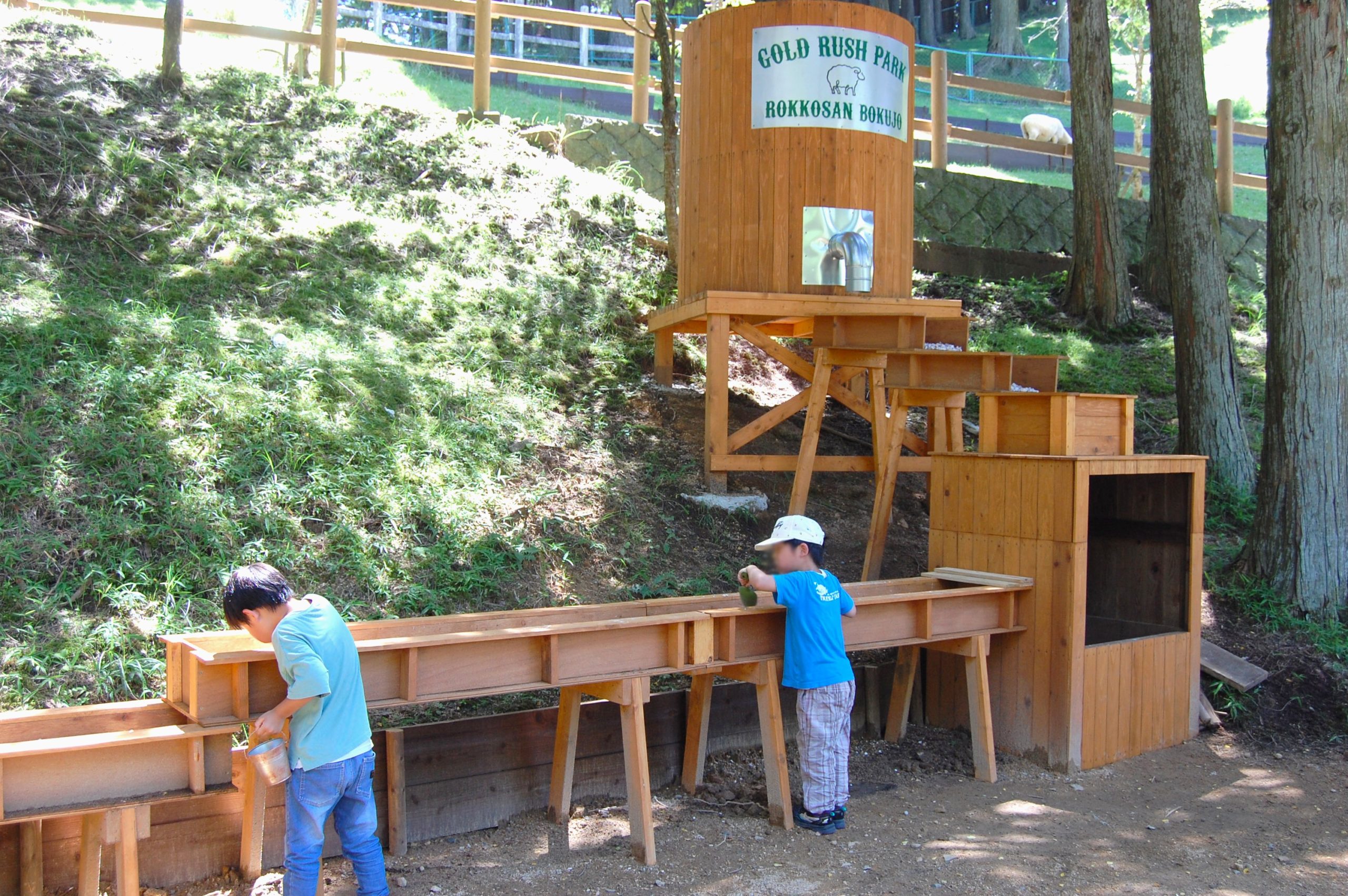 ゴールドラッシュ