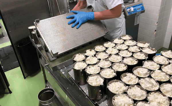 チーズ工場見学