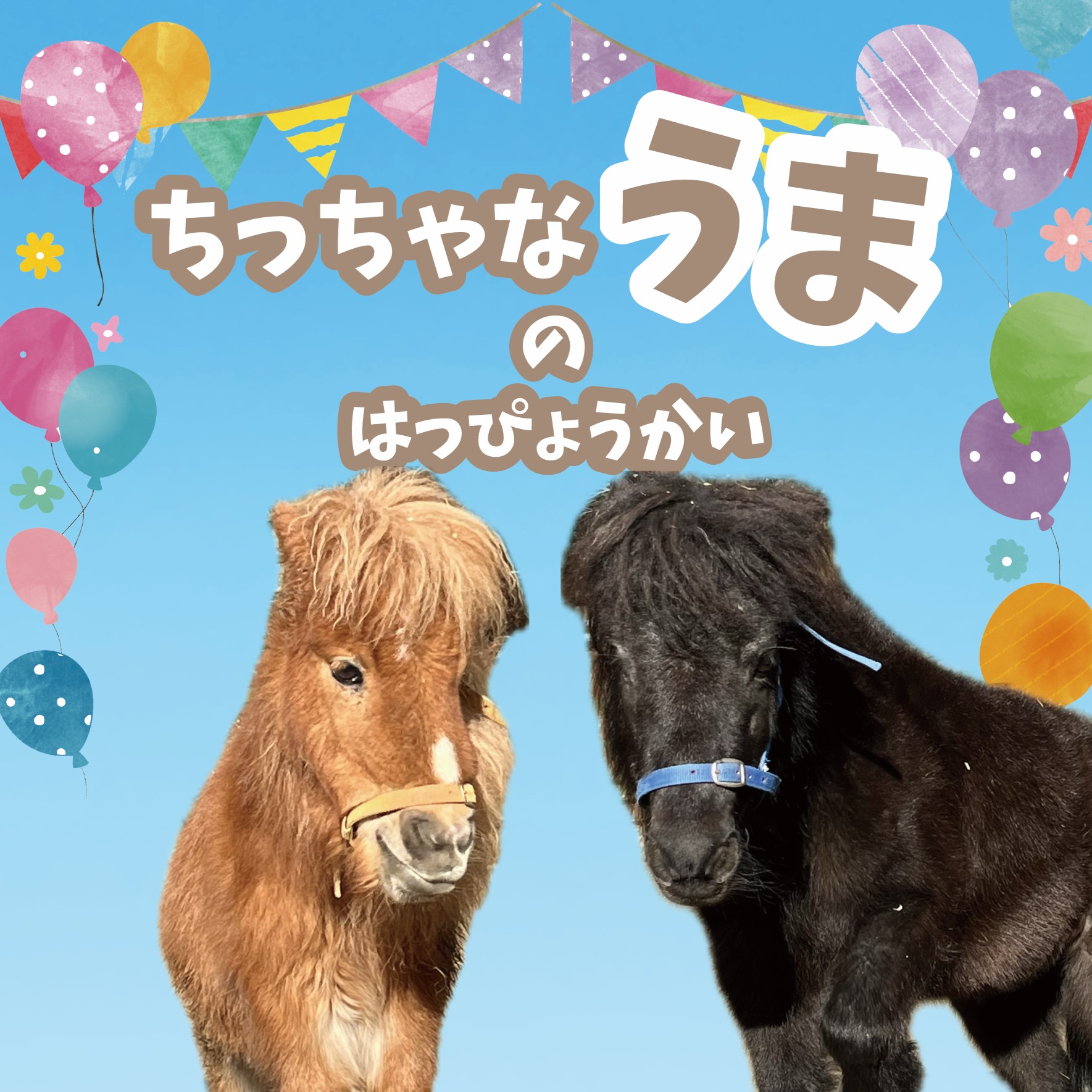 ちっちゃなうまのはっぴょうかい