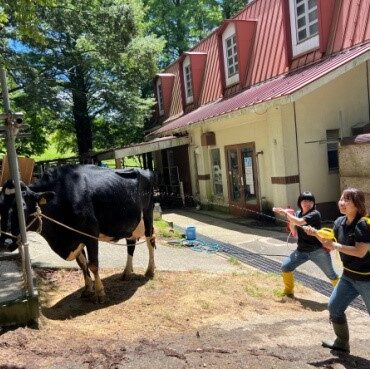 モーモースプラッシュ