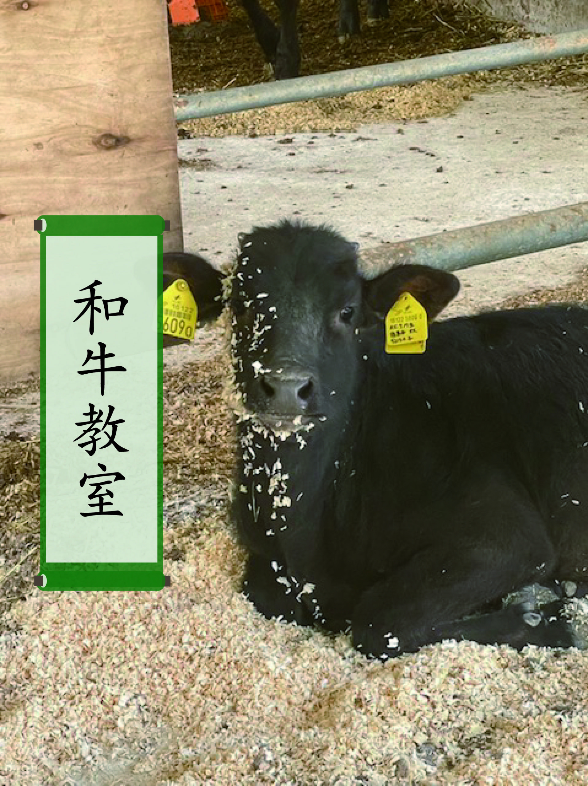 和牛教室